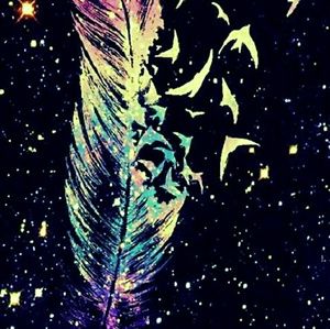 Meet your Posher, Tressa